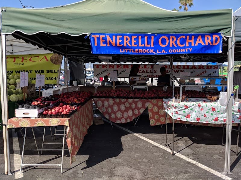 CSU Long Beach Farmers' Market