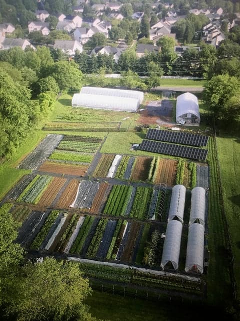 Common Root Farm