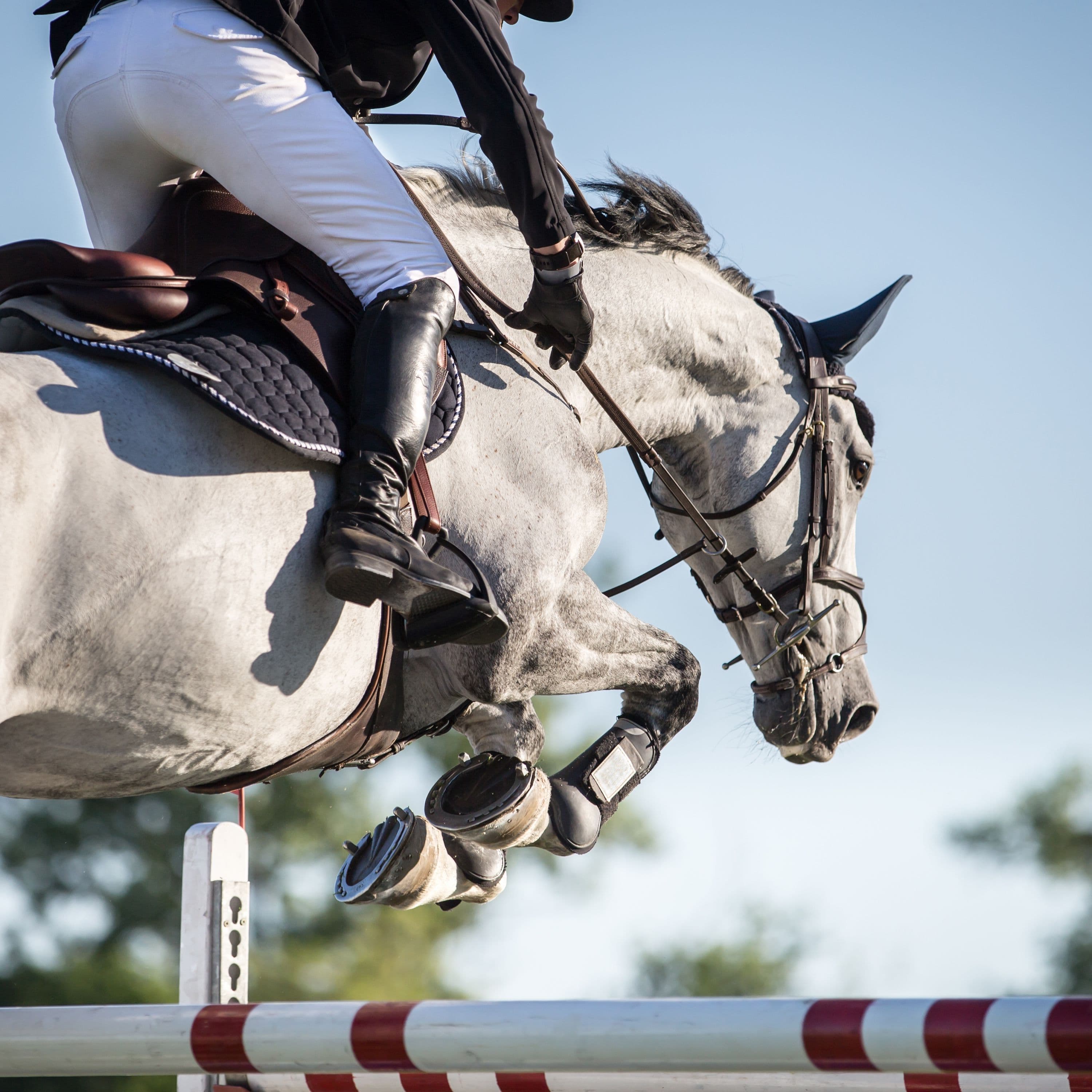 Tamarian Farms Equestrian Center
