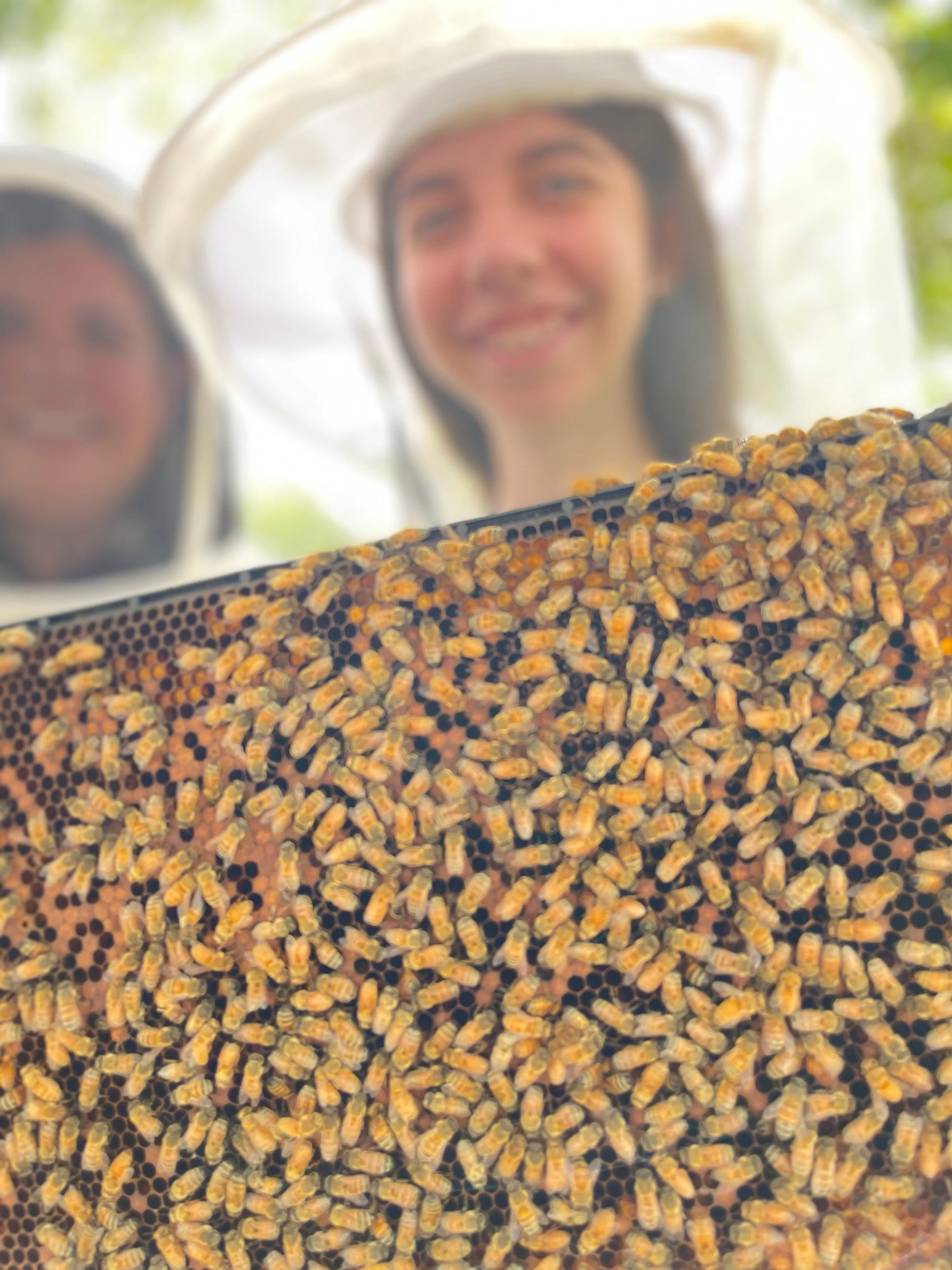 Prime Bees - Beekeepers & Honey Bee Farm