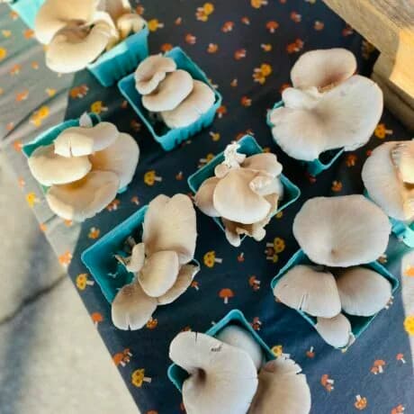 Asheville City Market