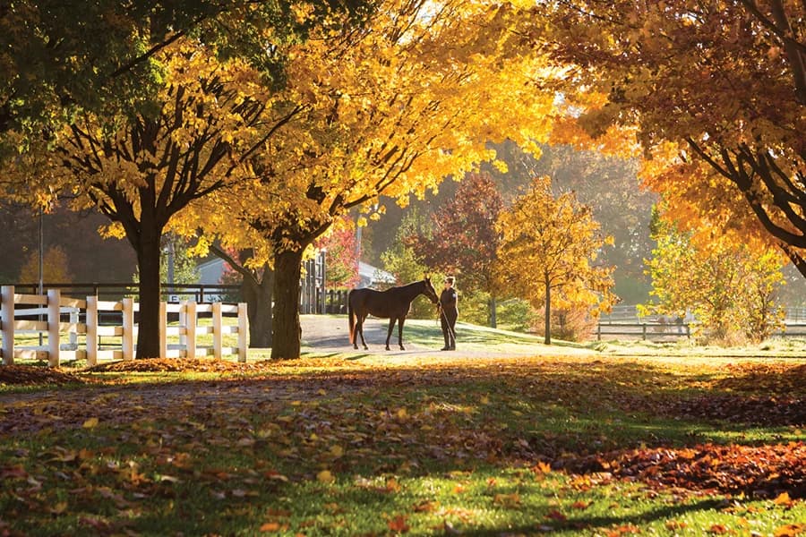 Danada Equestrian Center - Forest Preserve District of DuPage County