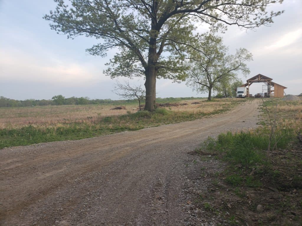 Honey Bee U-Pick patch - Tantre Farm