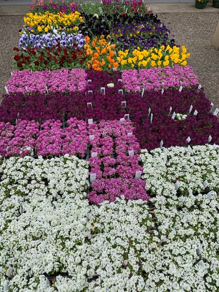 Dwulet's Nursery & Farm Market