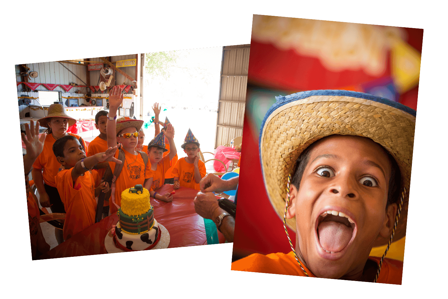 Chester's Party Barn & Farm