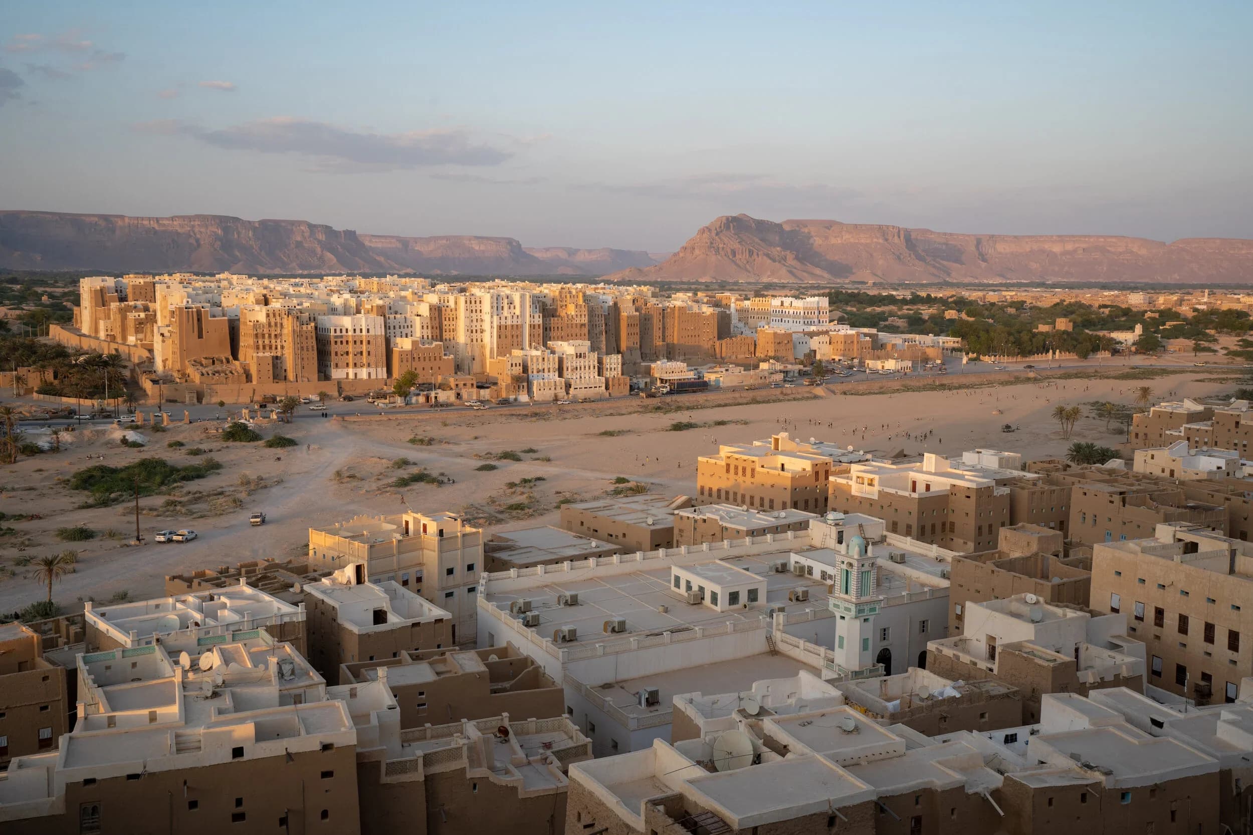 Asal Bee Sterling Heights