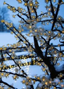 The Dairy Adventure at Fair Oaks Farms