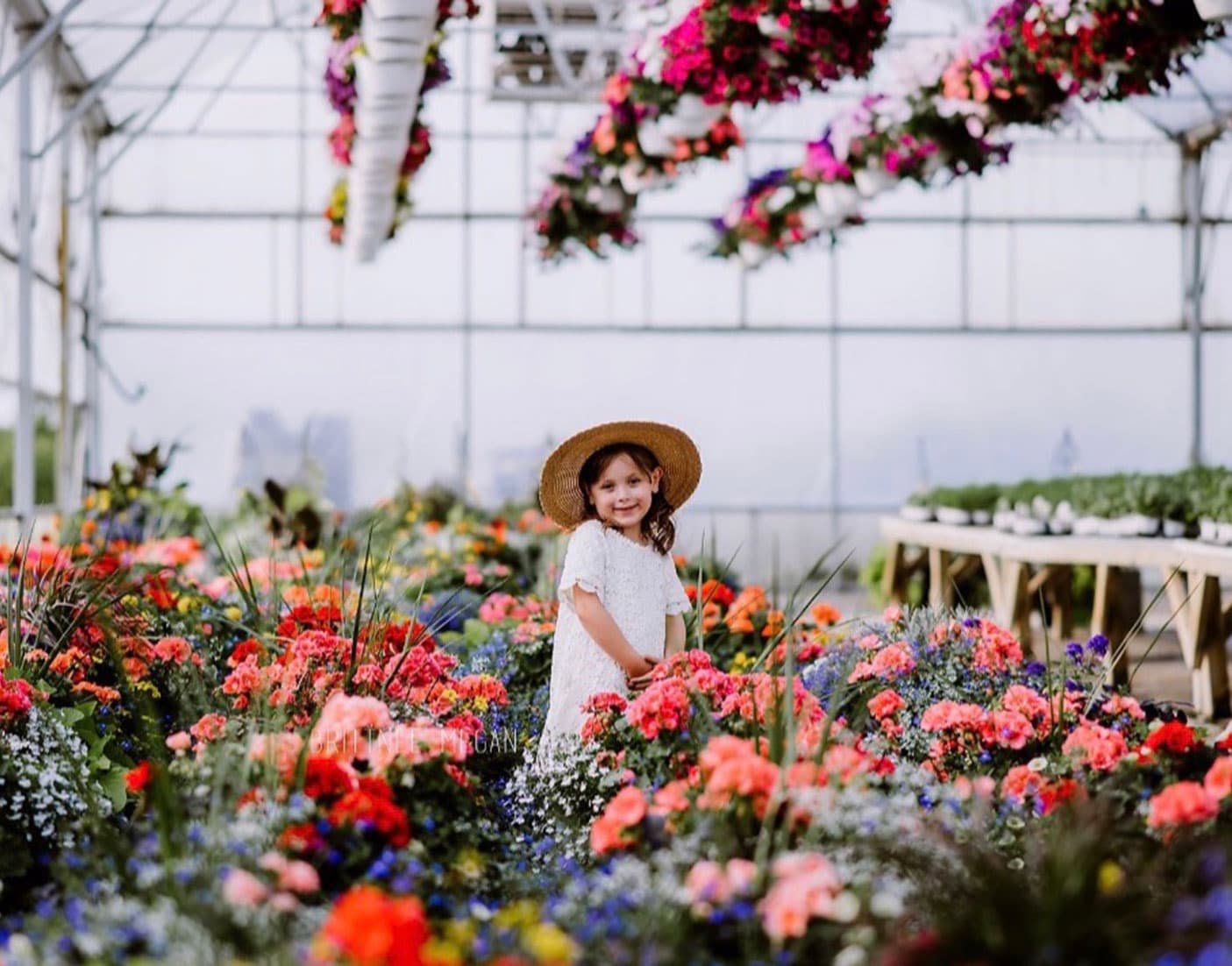 Johnson's Farm Produce