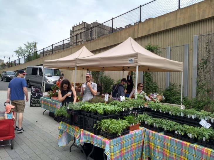 FRESHFARM Monroe Street Farmers Market