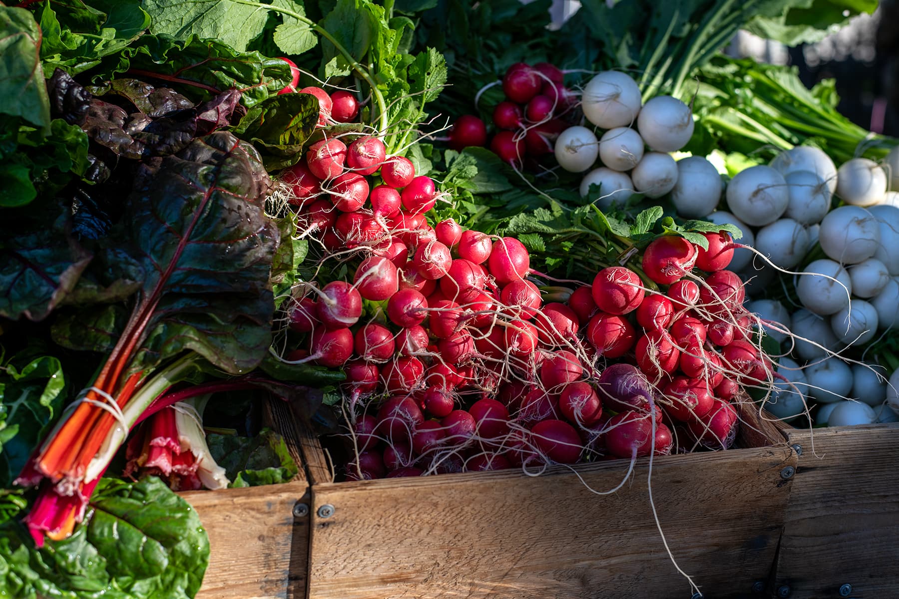 Historic McKinney Farmers Market at Chestnut Square