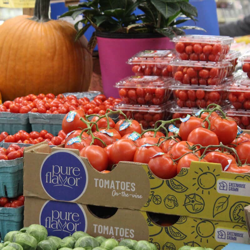 Shillington Farmers Market