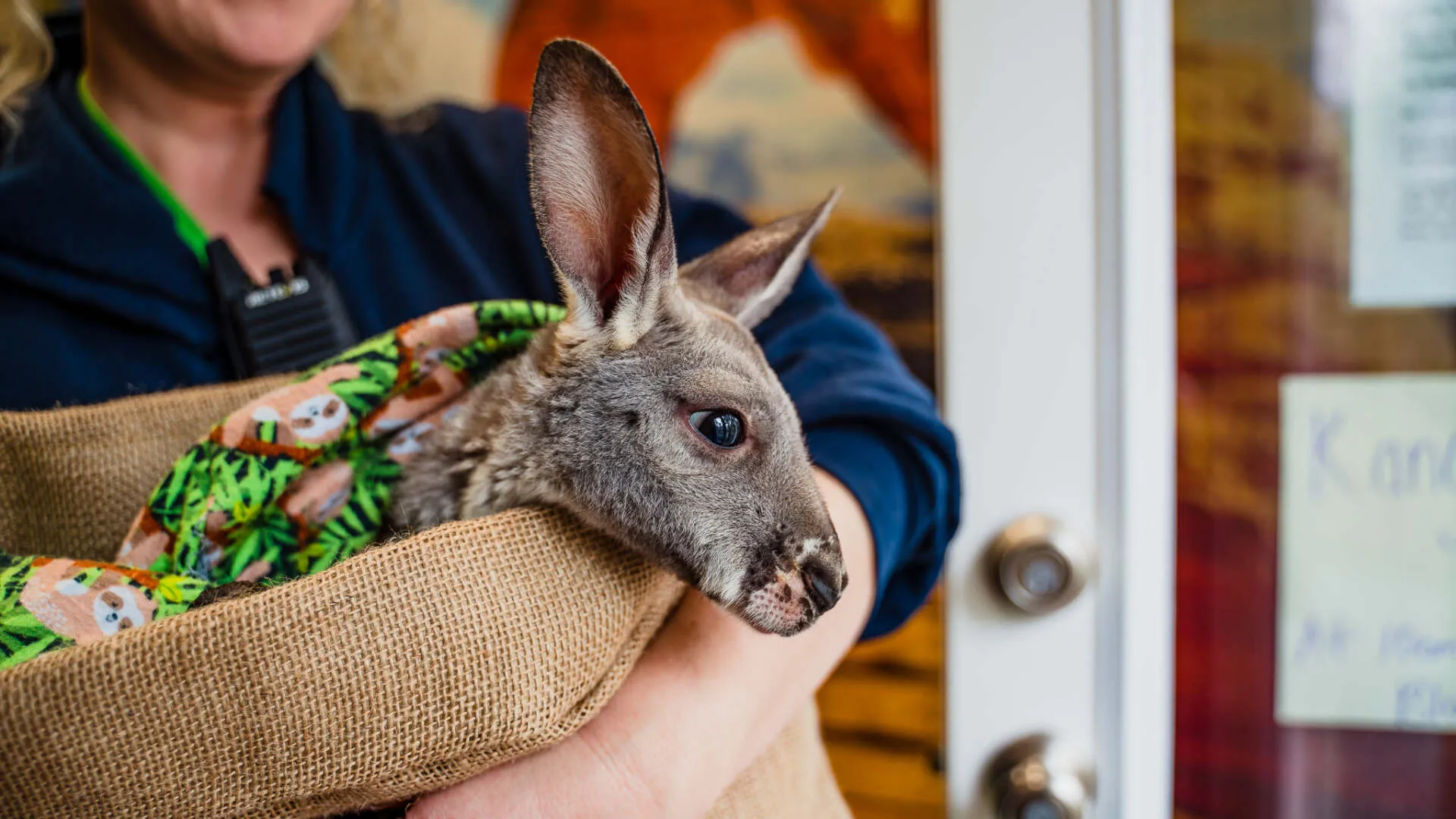 Bee City Zoo & Honey Bee Farm