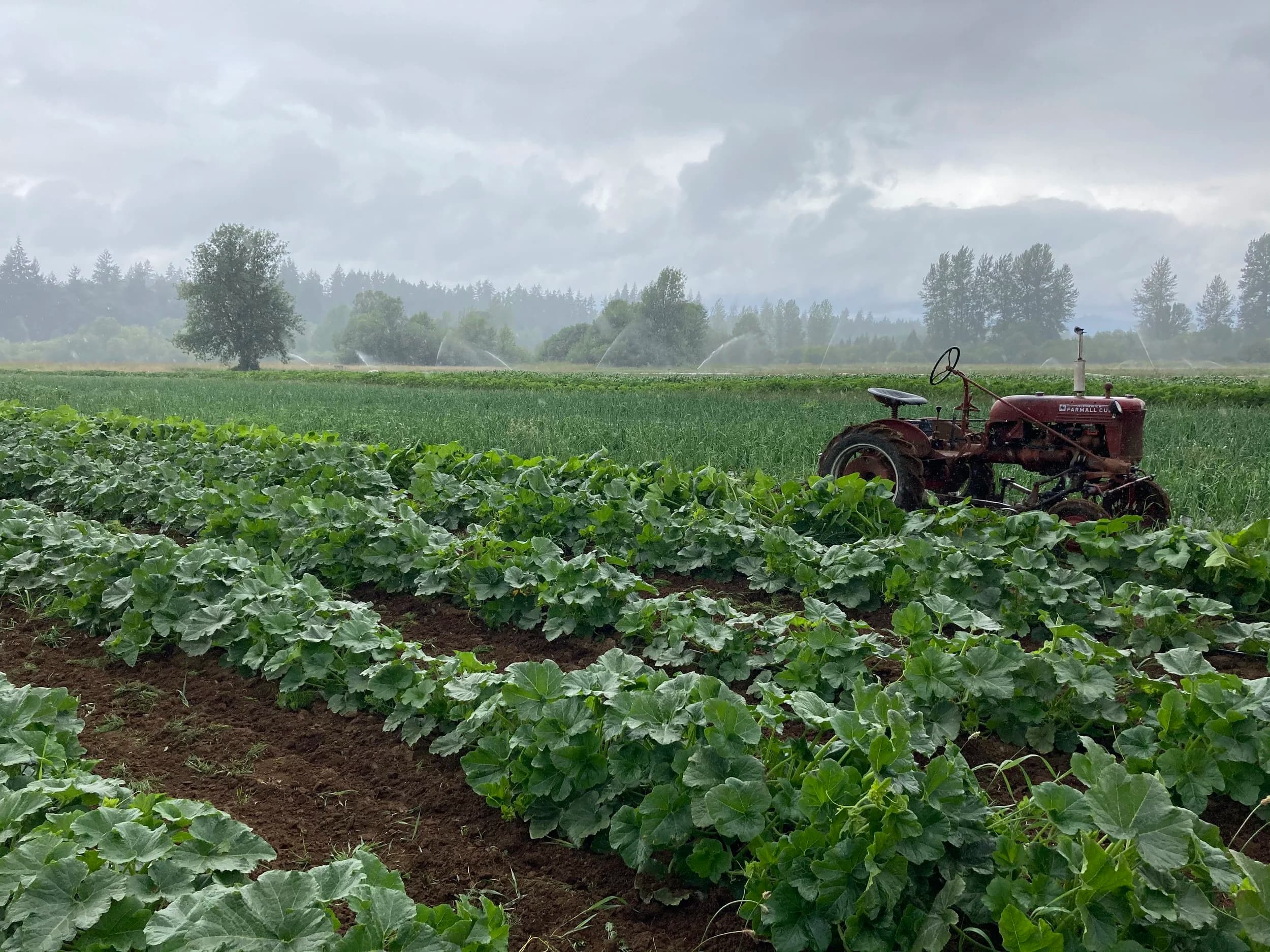 Kingfisher Organic Farm