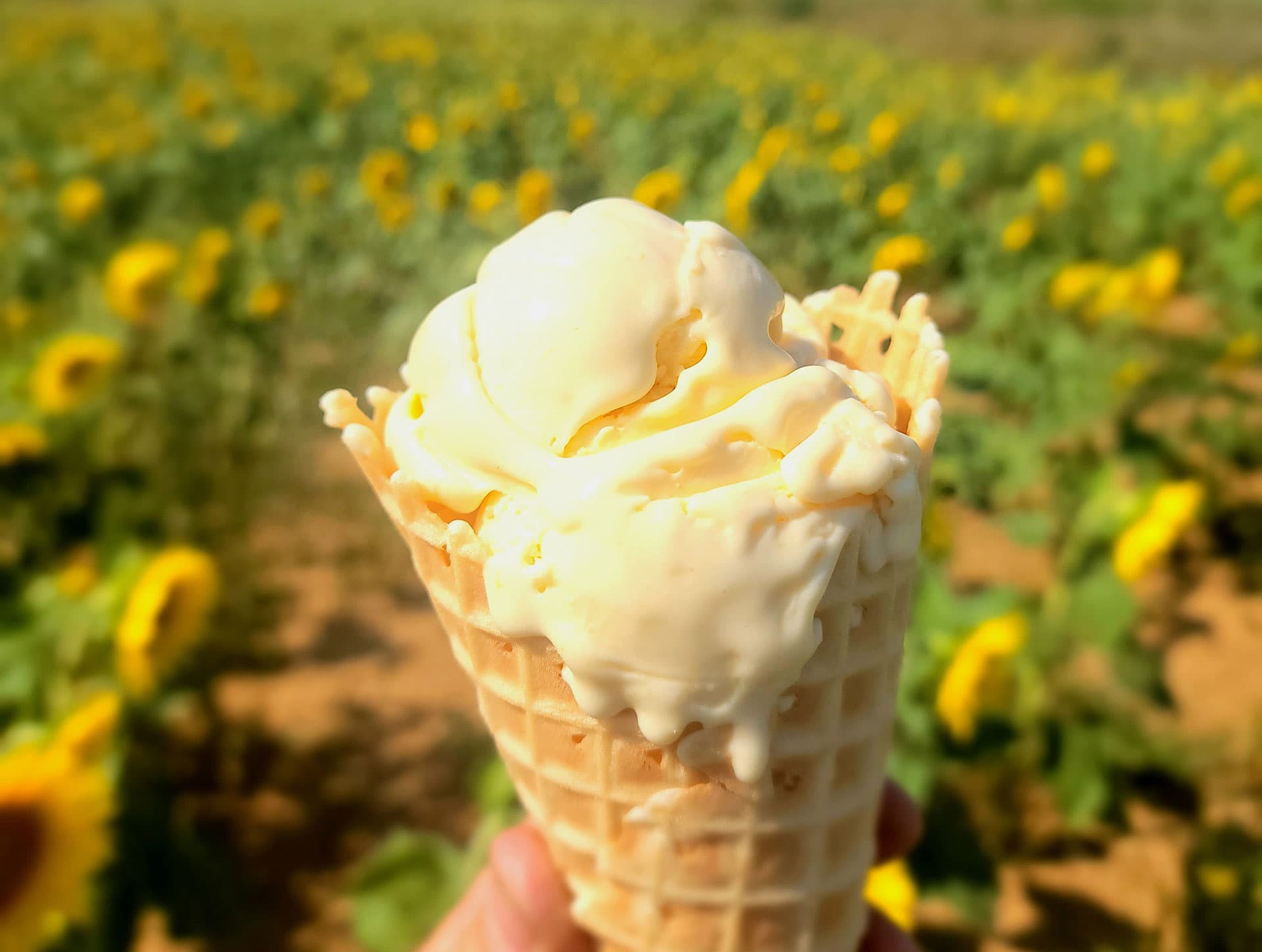 Misty Meadow Farm Creamery