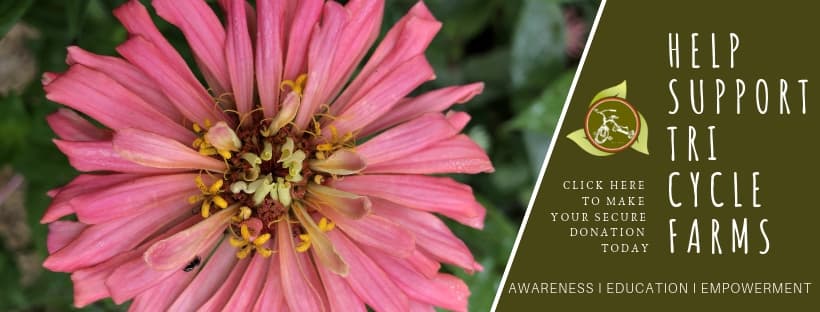 Tri Cycle Farms Inc.