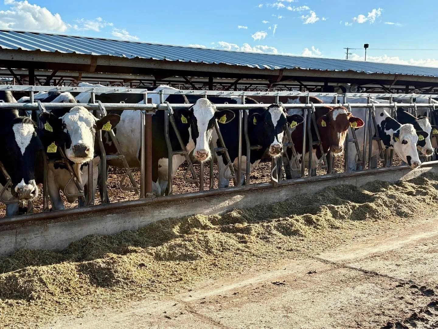 Rocky Mountain Farmstead