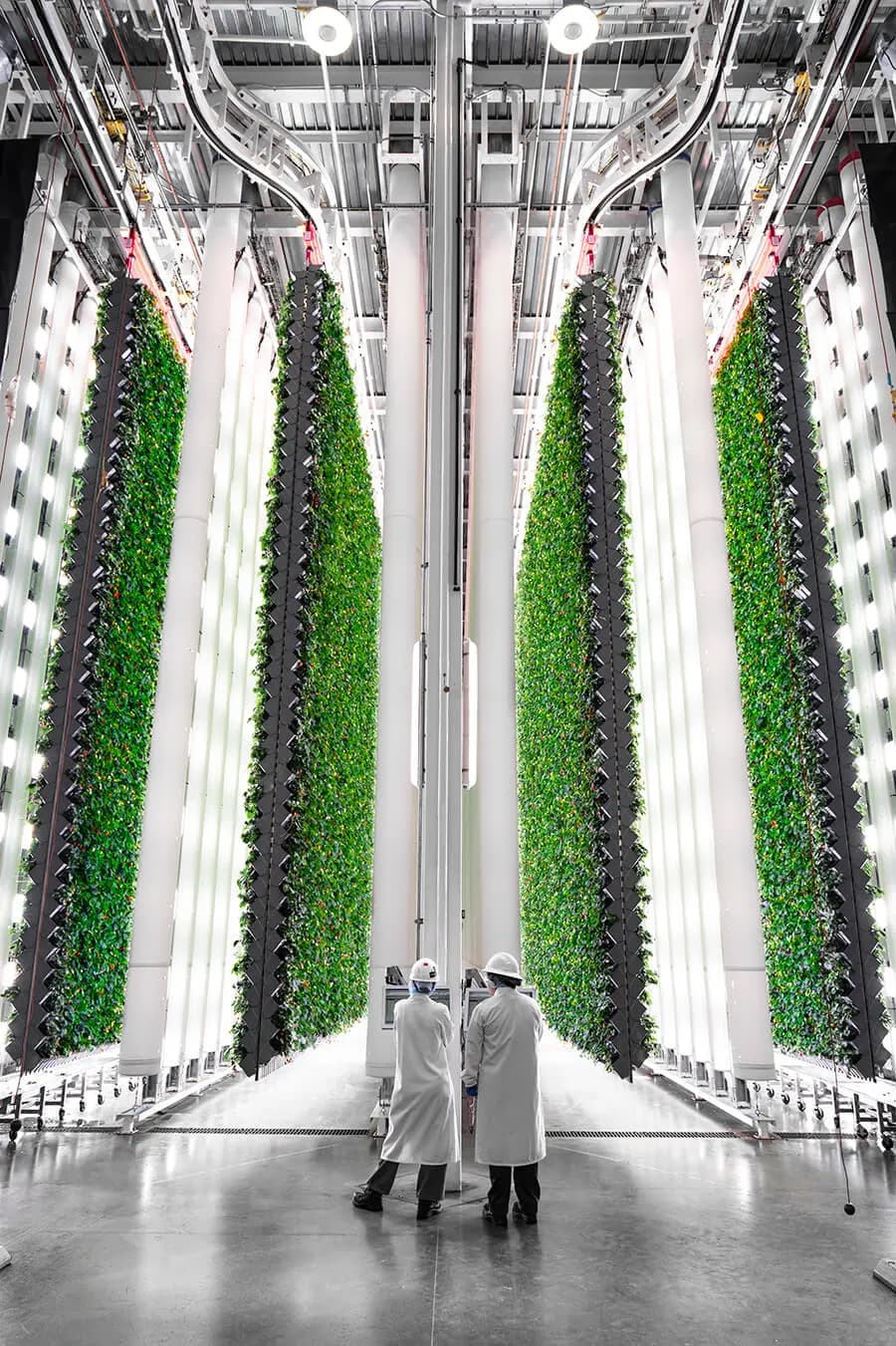 Plenty Unlimited Inc.