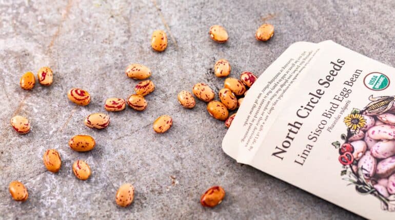 Lakewinds Food Co-op Minnetonka MN