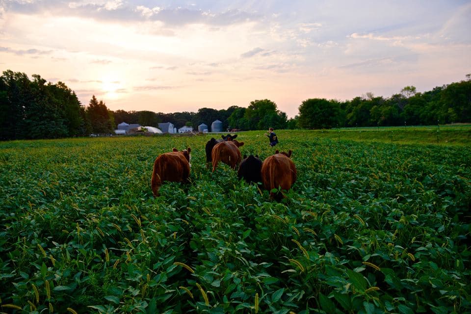 Doubting Thomas Farms
