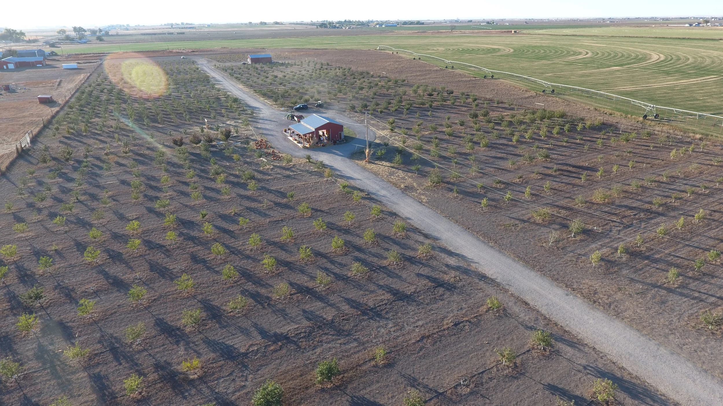 Adam's Apple Orchard & Country Store