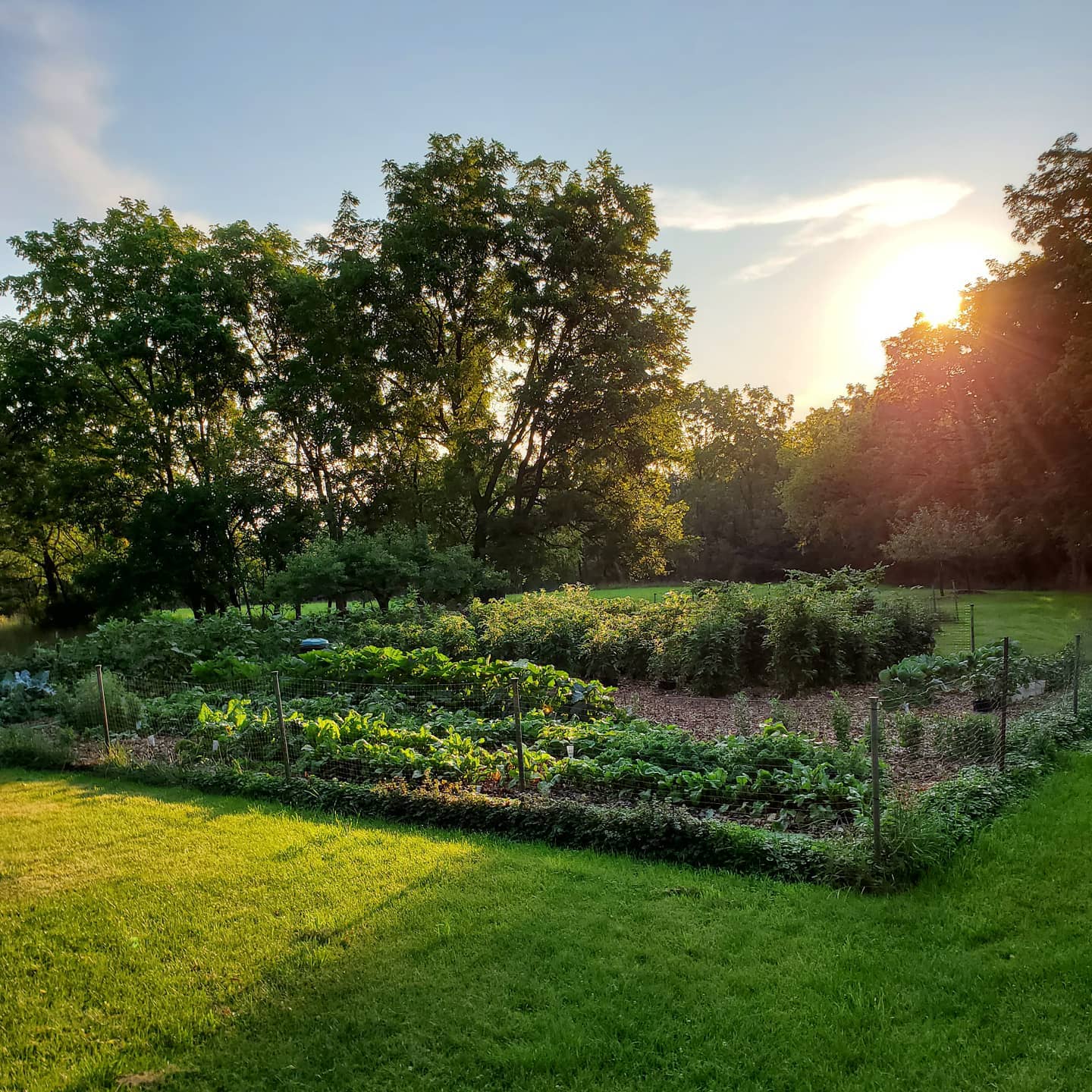 Rasmussen Farm Market