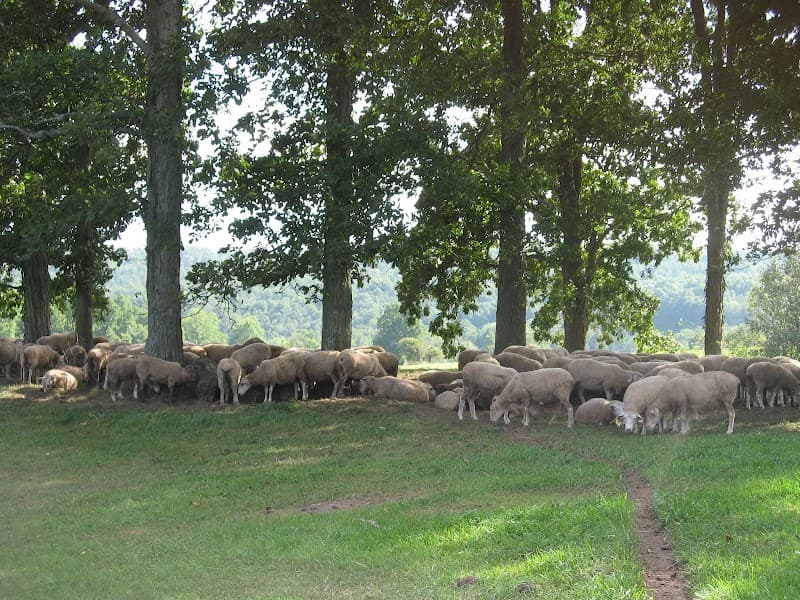 The Multi-Farm Meat CSA