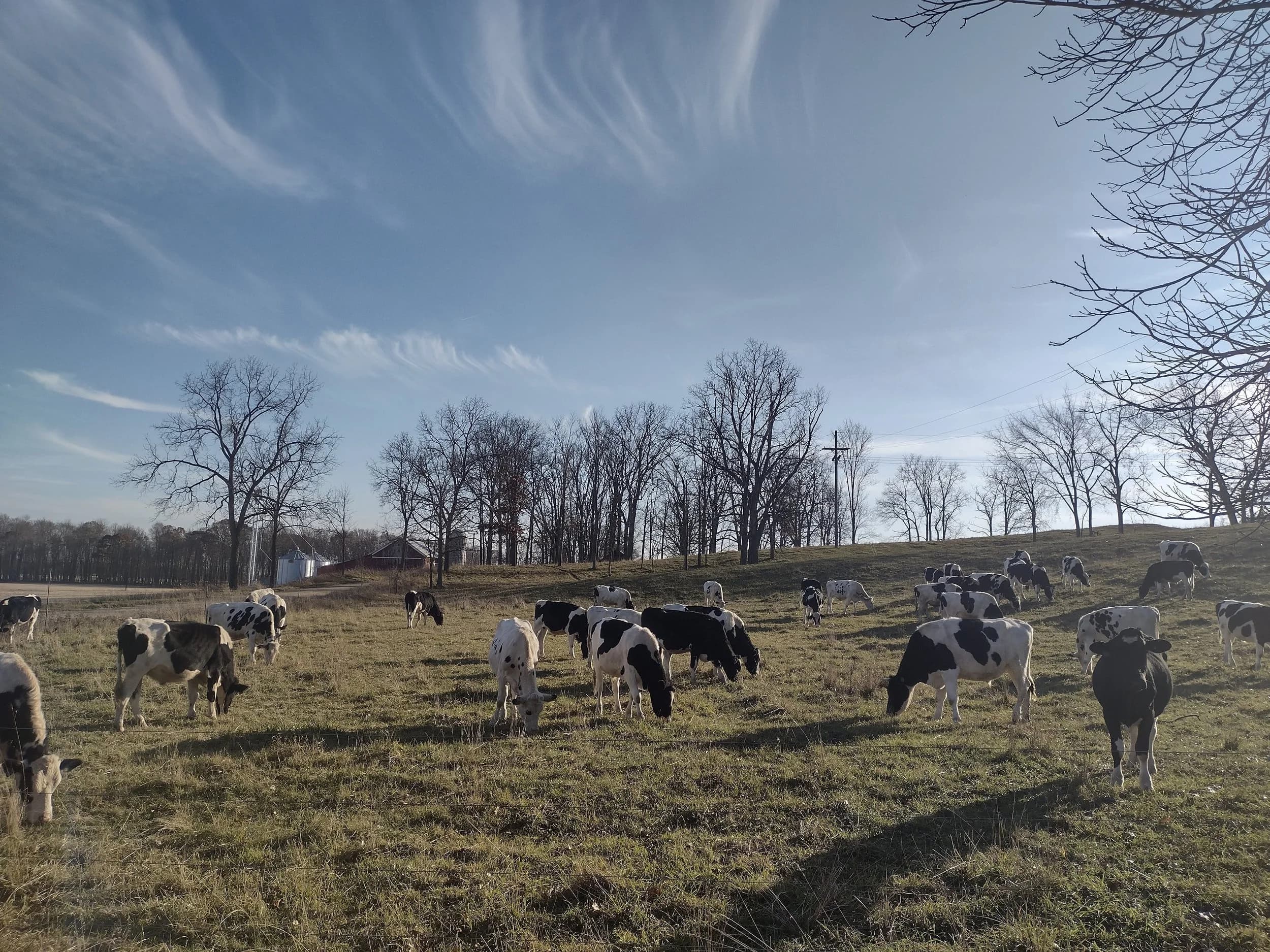 Lesser Farms and Orchard