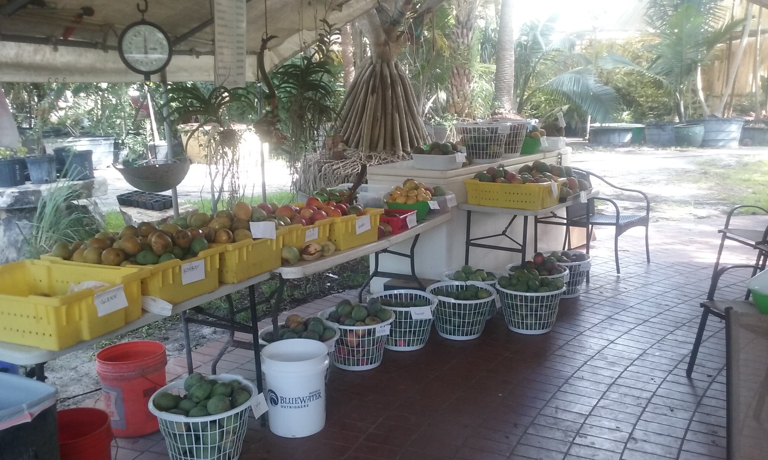 Excalibur Fruit Trees LLC