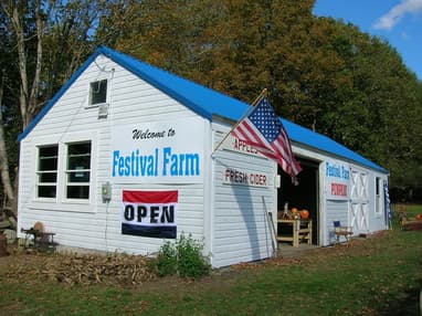 Festival Farm