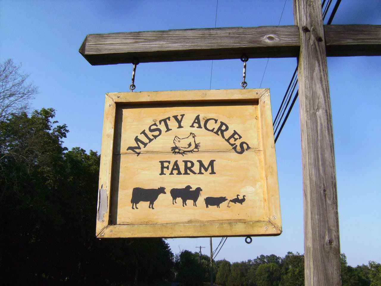 Misty Acres Farm