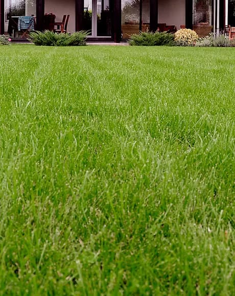 Laughinghouse Farms Inc