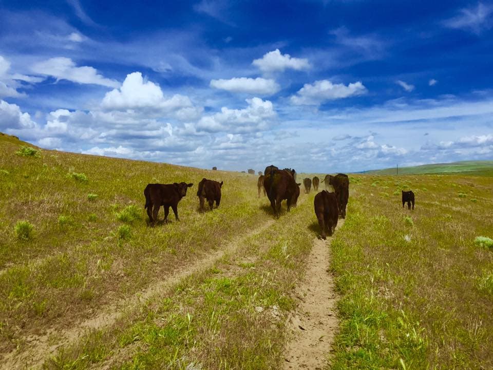 Farm Fresh Northwest