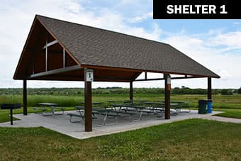 Brunner Family Forest Preserve