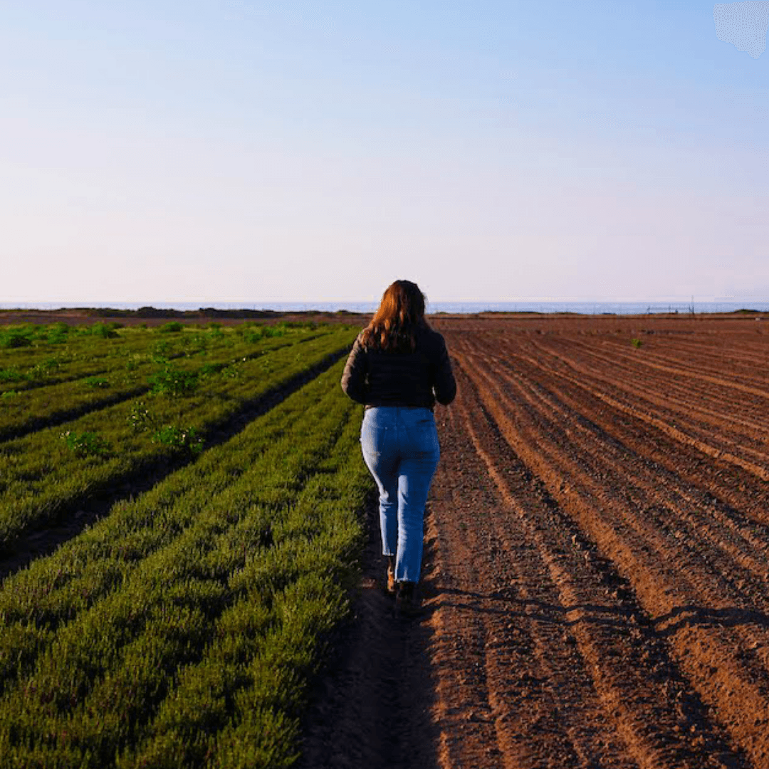 Jacobs Farm del Cabo