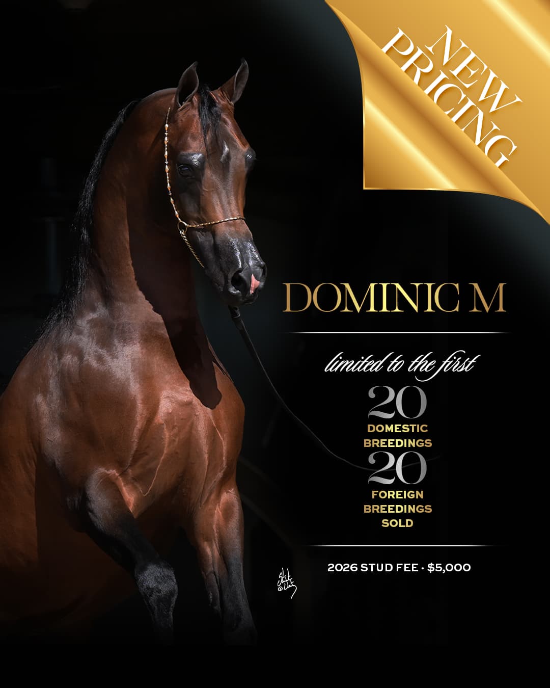 Orrion Farms-Scottsdale