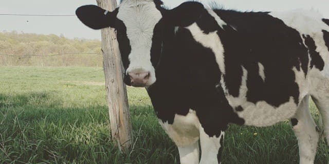 Ronnybrook Farm Dairy - Union Square