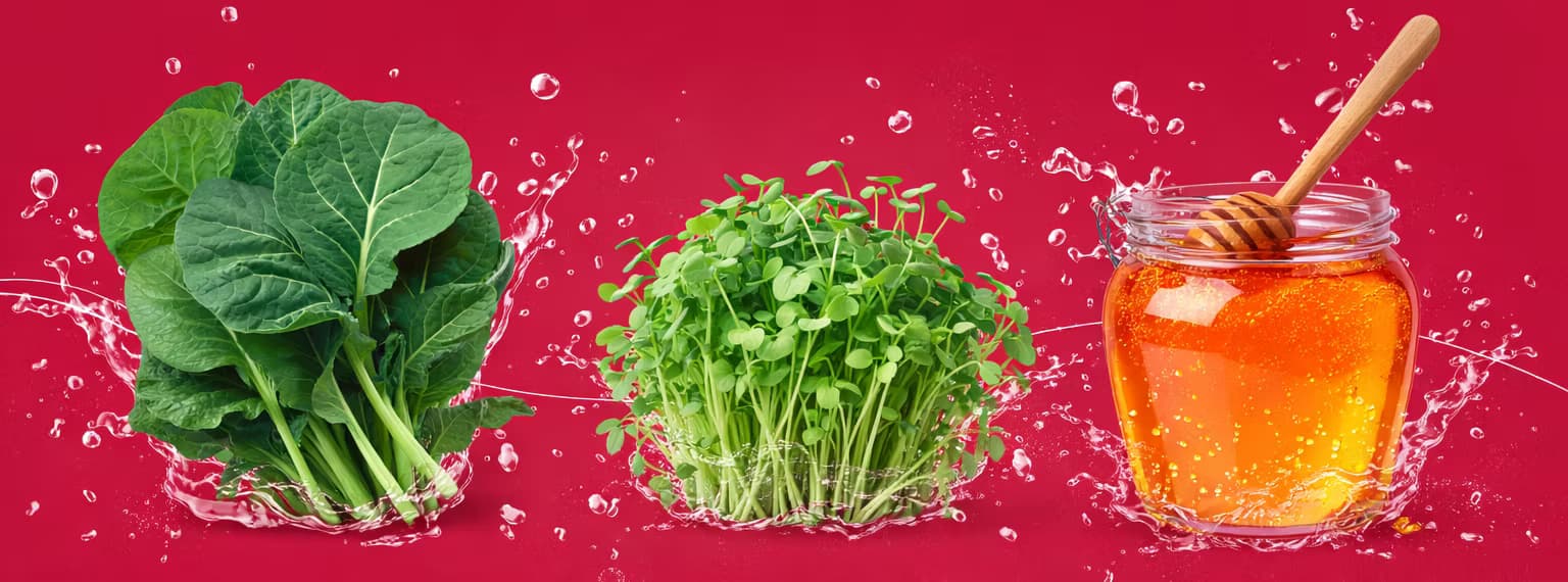 aGROWKulture Urban Farm