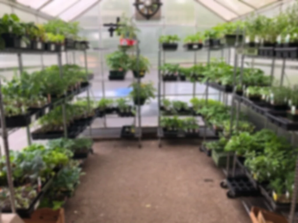 Eugene Backyard Farmer