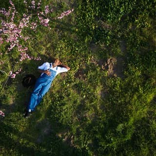 Bloom Ranch of Acton