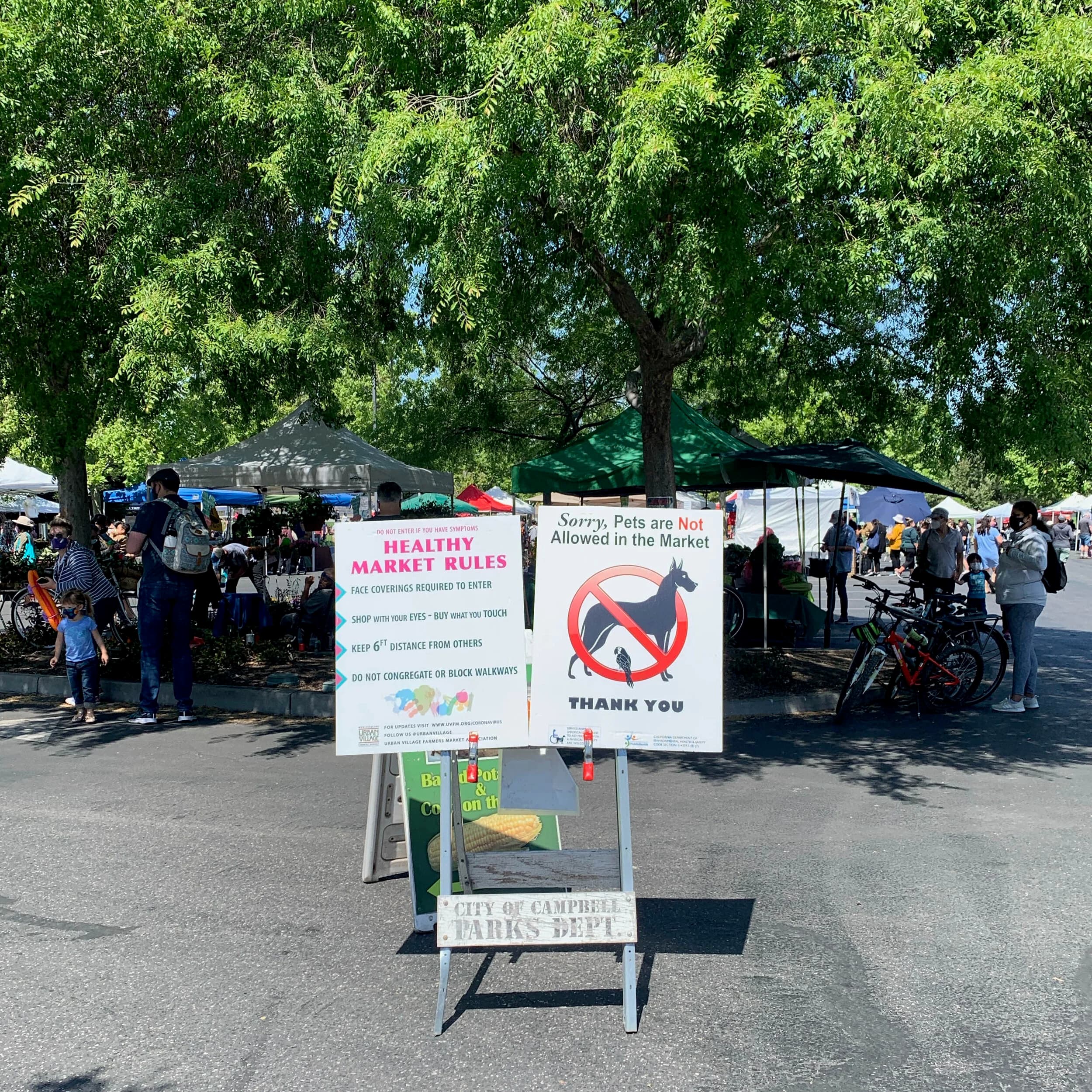 Campbell Farmer's Market