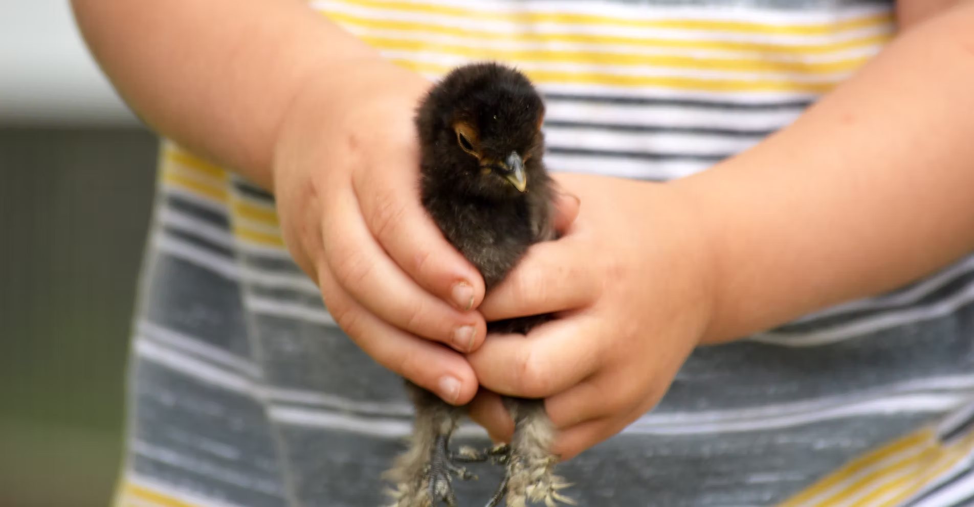 Fair Winds Farmstead