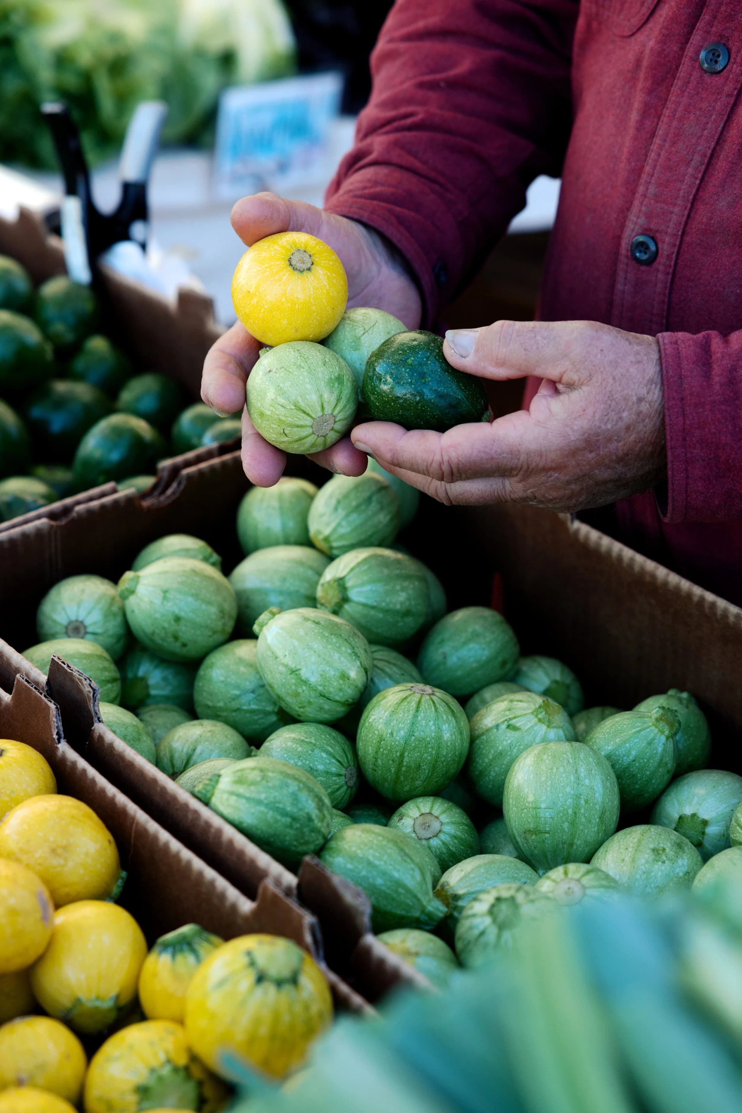 Sunday Marin Farmers' Market