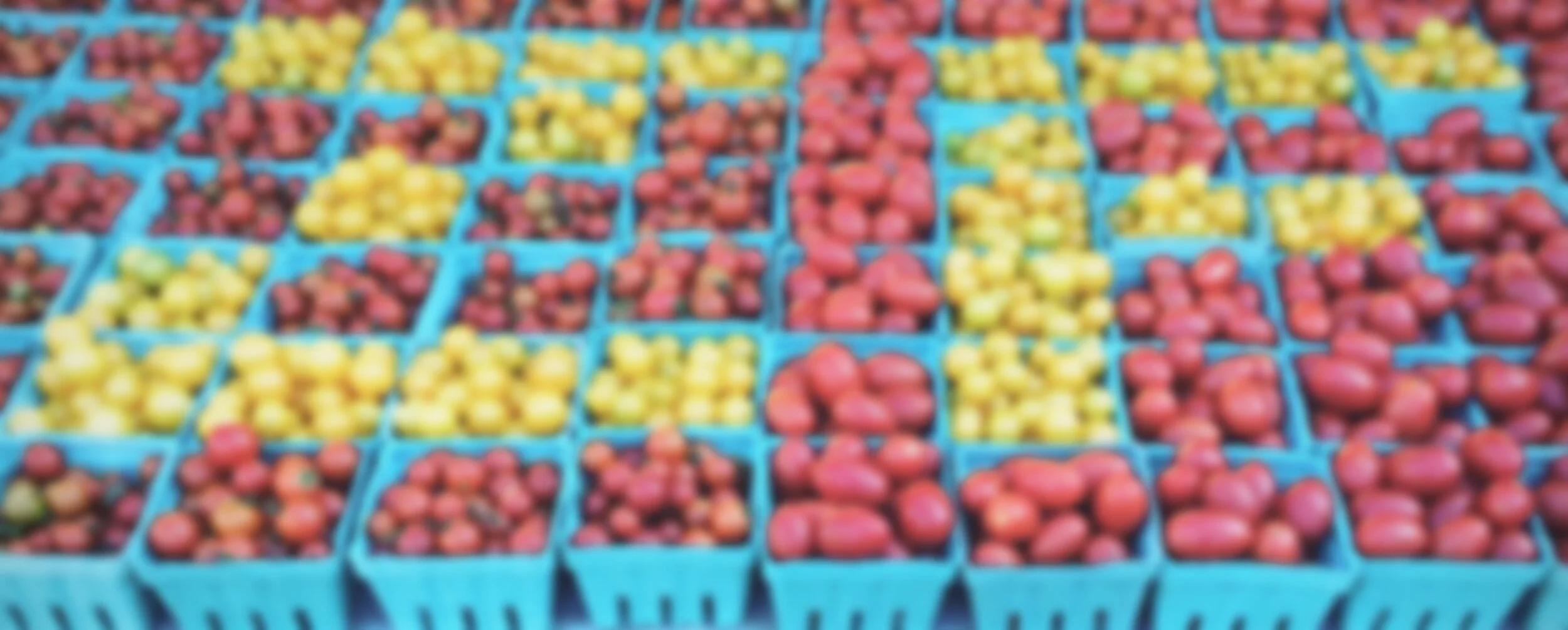 Zephyr Farm, Cranston RI