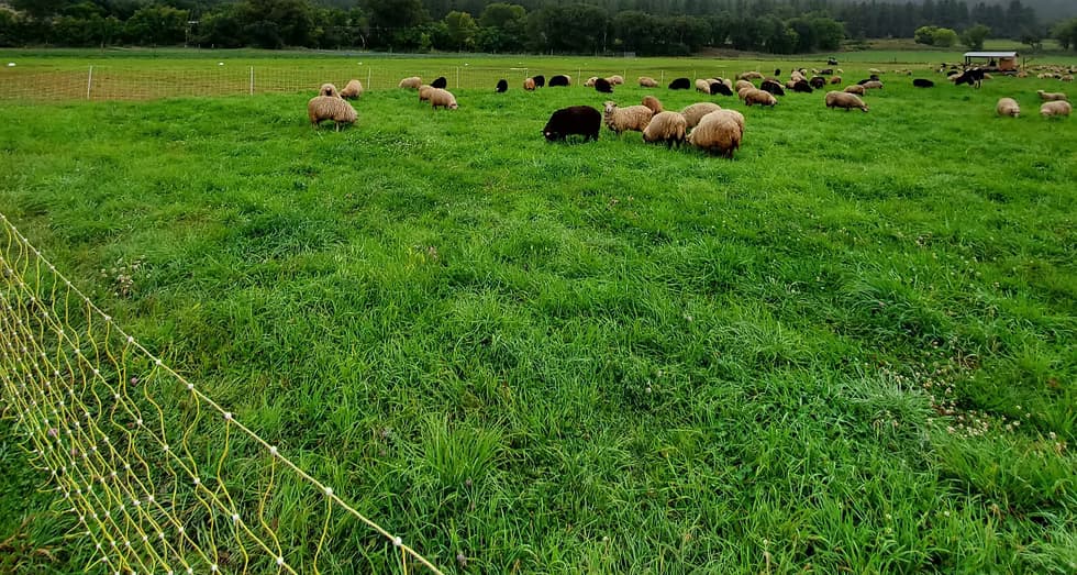 Fields to Plate Produce