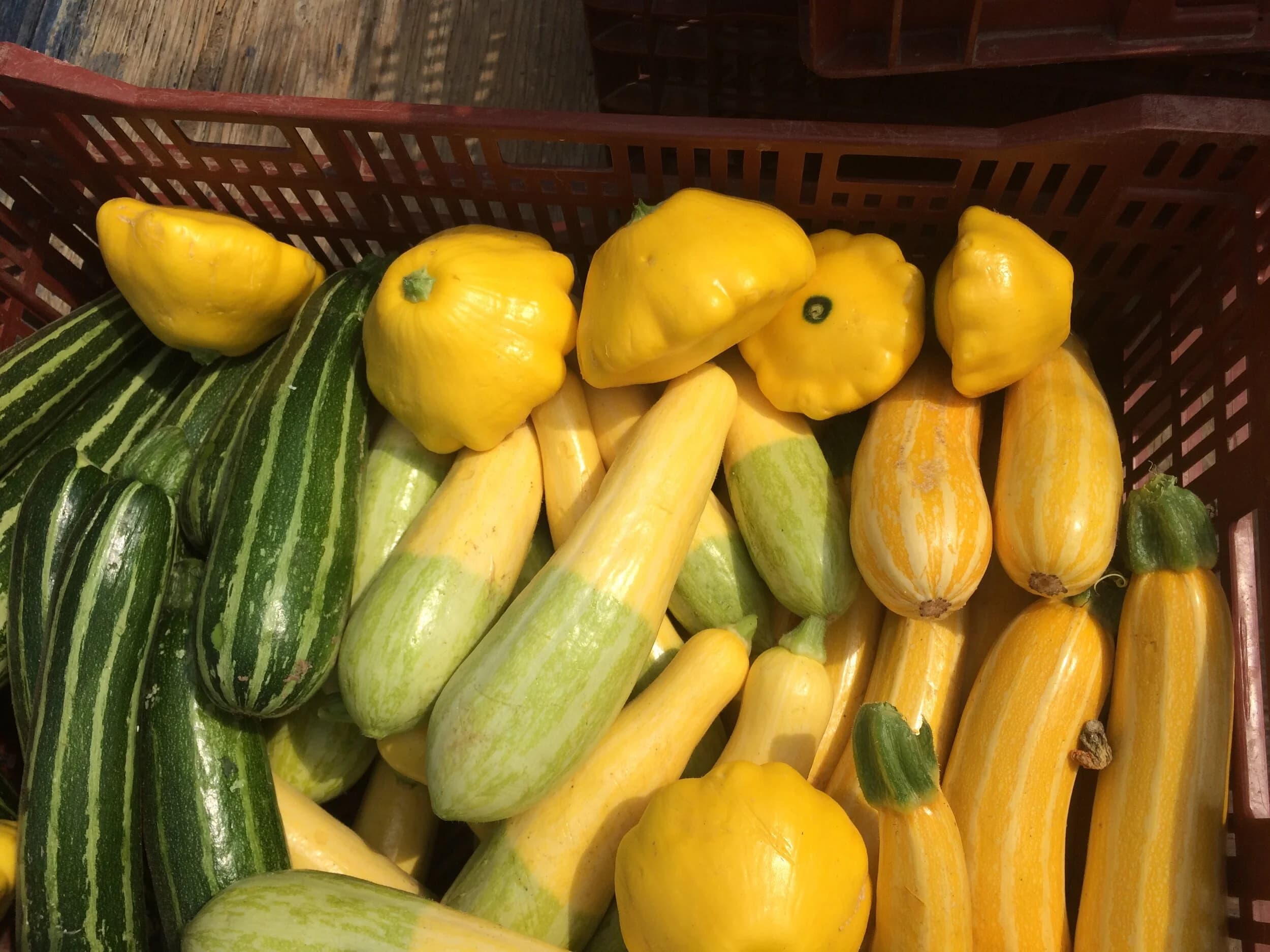 Monroe Organic Farm LLC