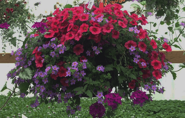 Klinger's Farm Market