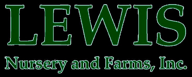 Lewis Strawberry Nursery & Farm