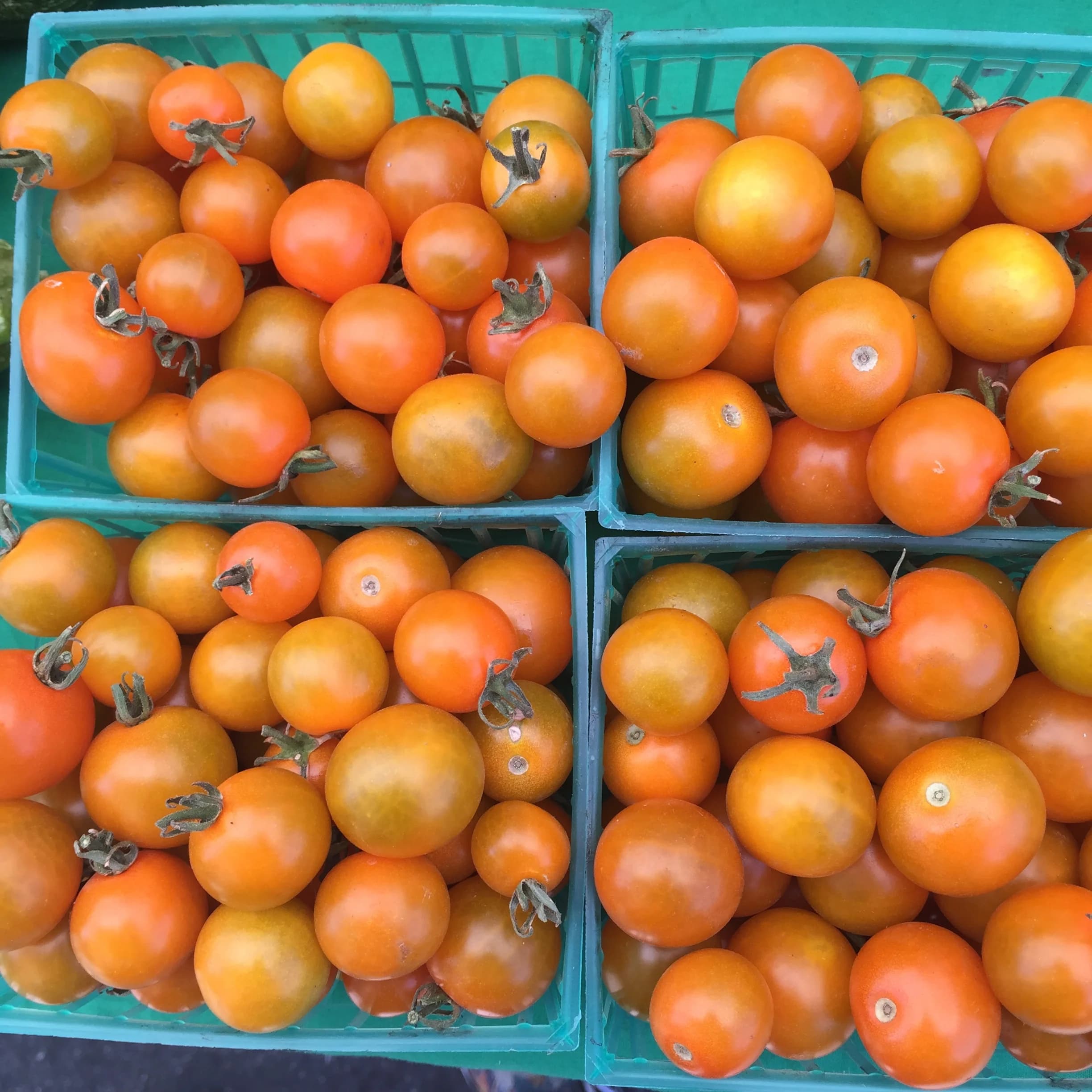 Mountain View Farmers' Market, alternate location (as of 1/1/2026)