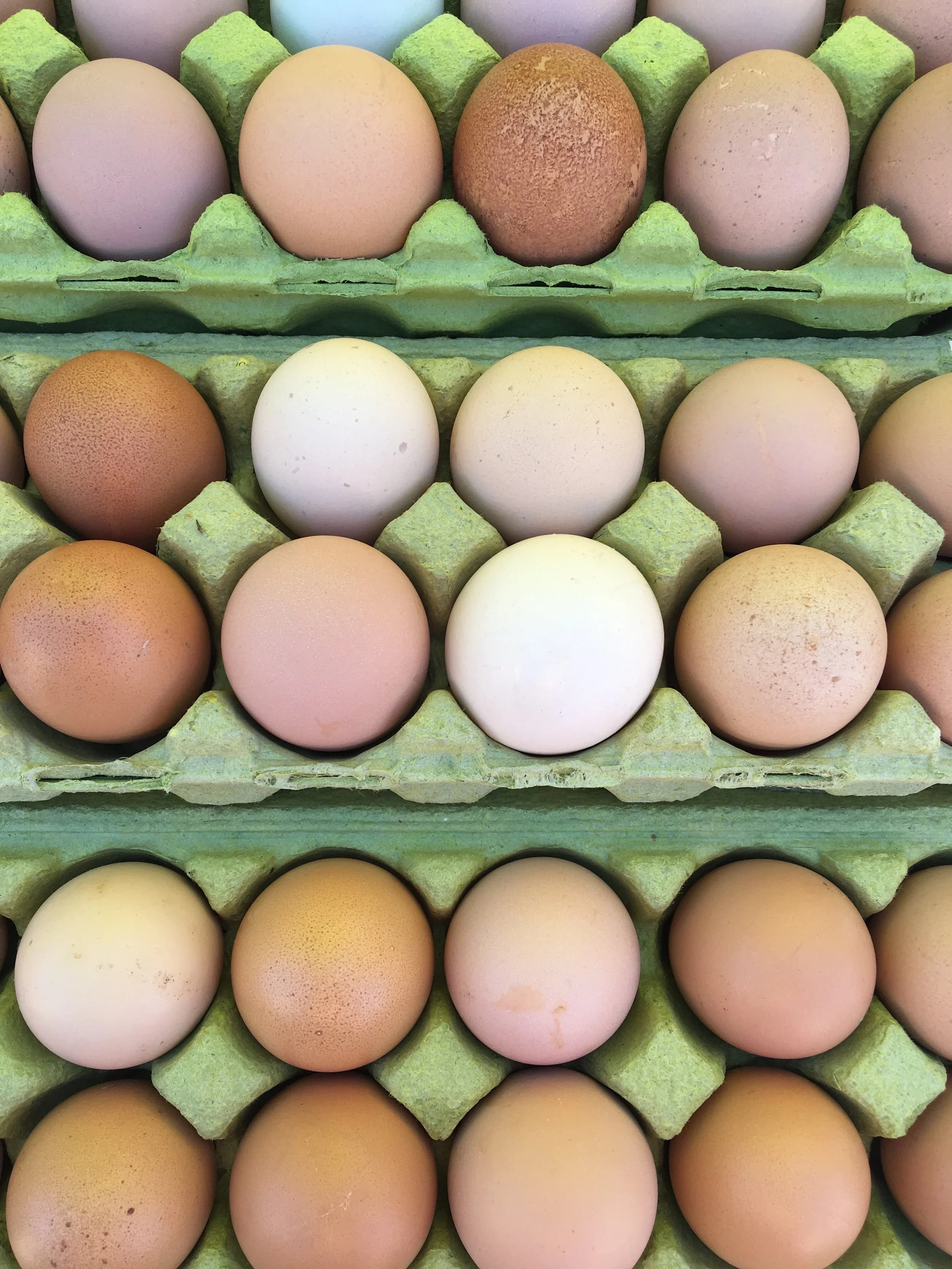 Hidden Hill Farms of Kansas