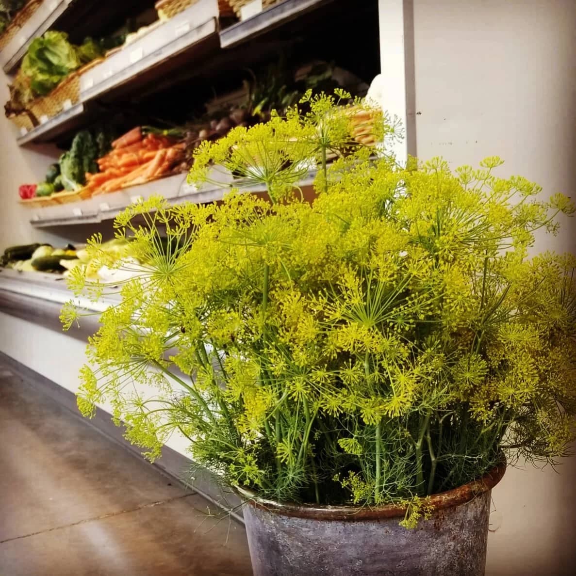 Fry Family Farm Store